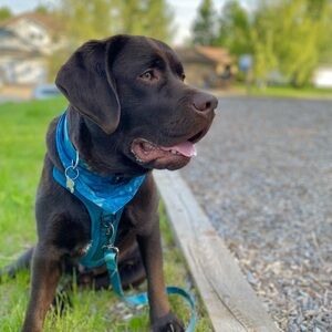 Meet your Posher, Leanne